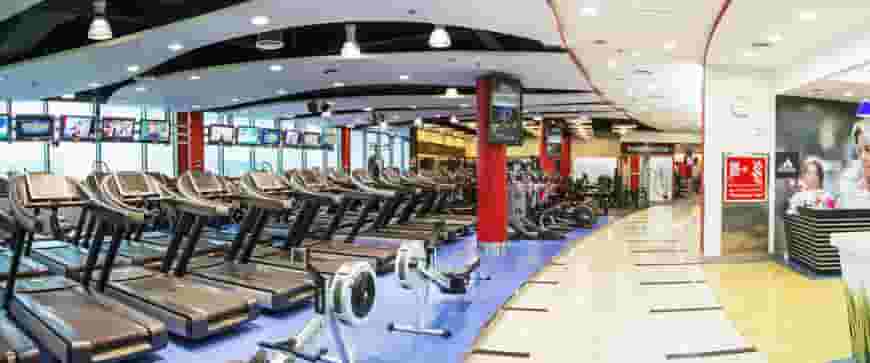 Gym License In Dubai How To Open Gym In Dubai Trainer License In Dubai